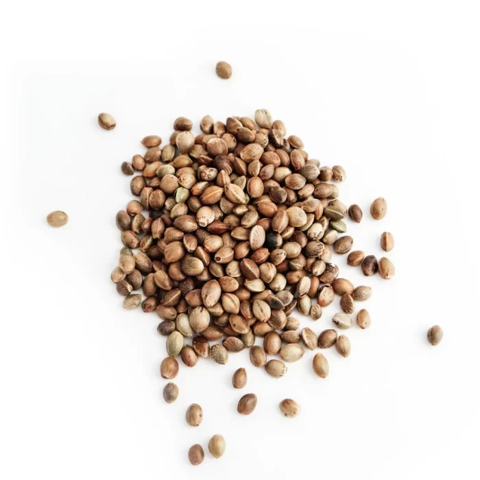 roasted-hemp-seeds-auster-foods